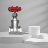 LOFFREY 304/316LGate valve